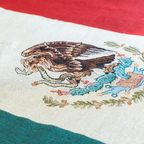 Mexico Flag Woven Throw Blanket